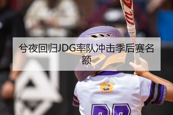 兮夜回归JDG率队冲击季后赛名额